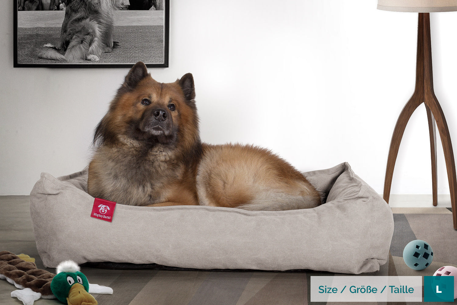Dog Beds