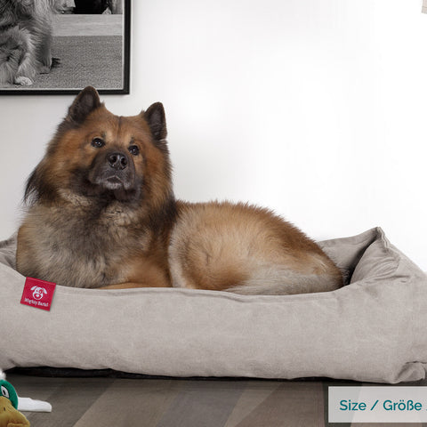 Dog Beds