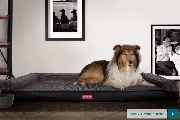 the-bench-orthopedic-memory-foam-dog-bed-faux-leather-black_2