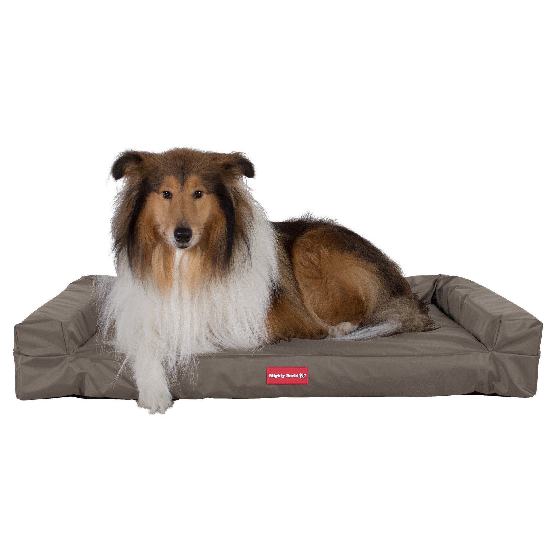 the-bench-orthopedic-memory-foam-dog-bed-waterproof-grey_3