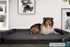 the-bench-orthopedic-memory-foam-dog-bed-signature-graphite_2