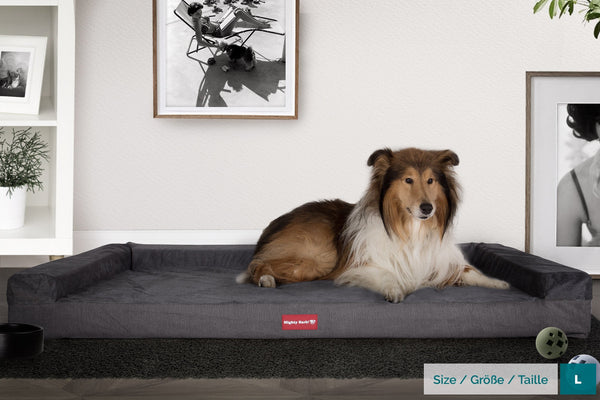 the-bench-orthopedic-memory-foam-dog-bed-signature-graphite_2