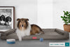 the-bench-orthopedic-memory-foam-dog-bed-waterproof-grey_2