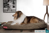 the-mattress-orthopedic-classic-memory-foam-dog-bed-denim-earth_2