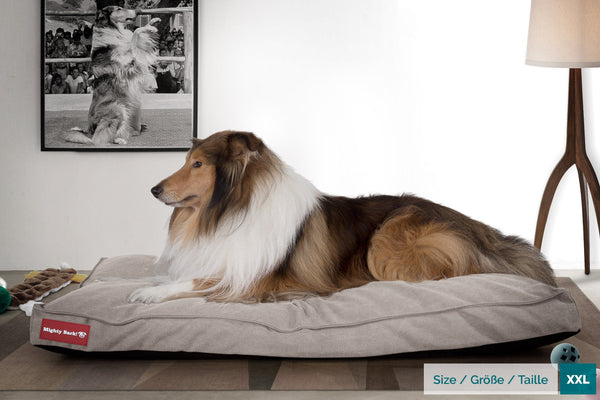 the-mattress-orthopedic-classic-memory-foam-dog-bed-denim-pewter_2