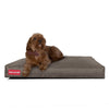 The-Mattress-Orthopedic-Classic-Memory-Foam-Dog-Bed-Waterproof-Grey_2
