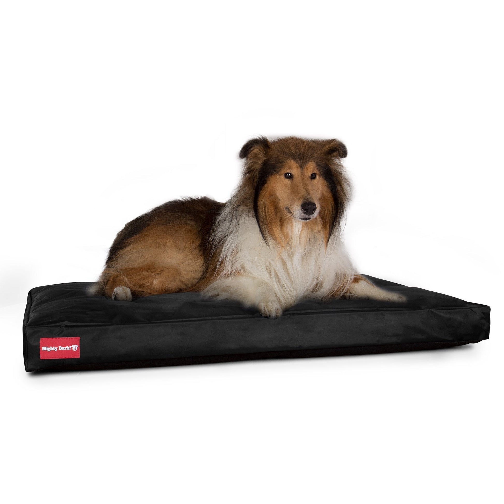 The-Mattress-Orthopedic-Classic-Memory-Foam-Dog-Bed-Waterproof-Black_5