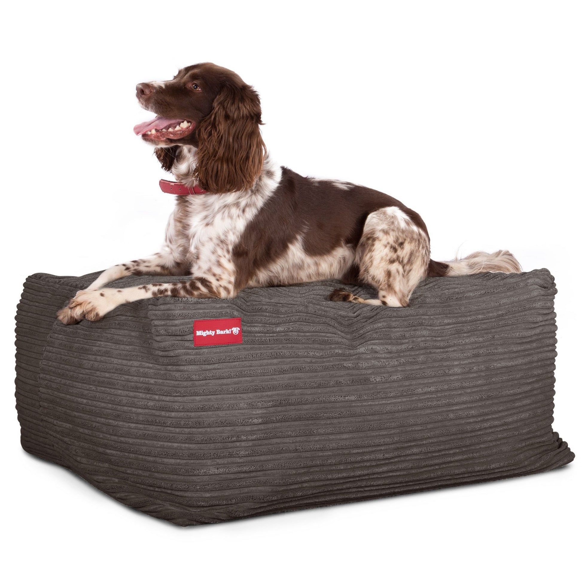 the-crash-pad-memory-foam-dog-bed-cord-graphite_4