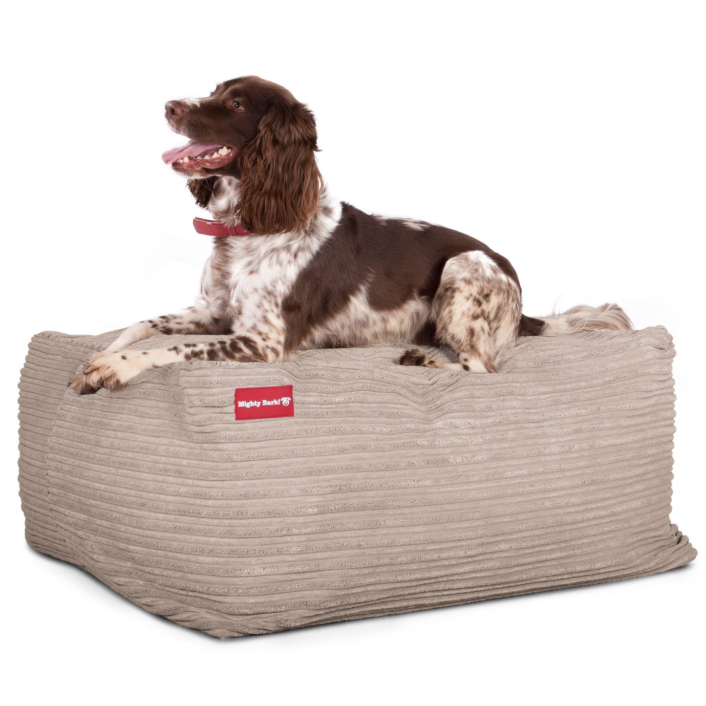 the-crash-pad-memory-foam-dog-bed-cord-mink_4