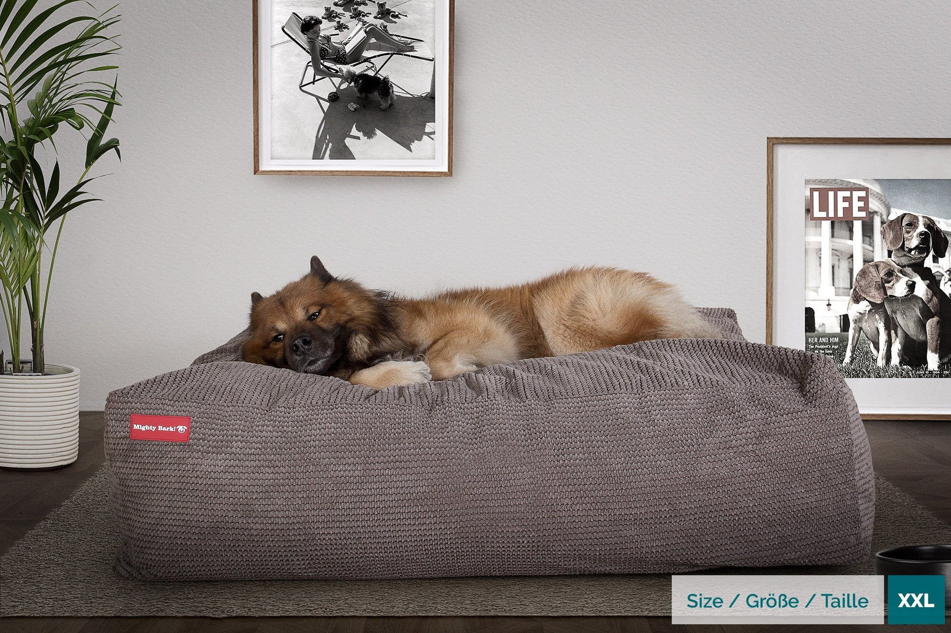 the-crash-pad-memory-foam-dog-bed-pom-pom-charcoal_2