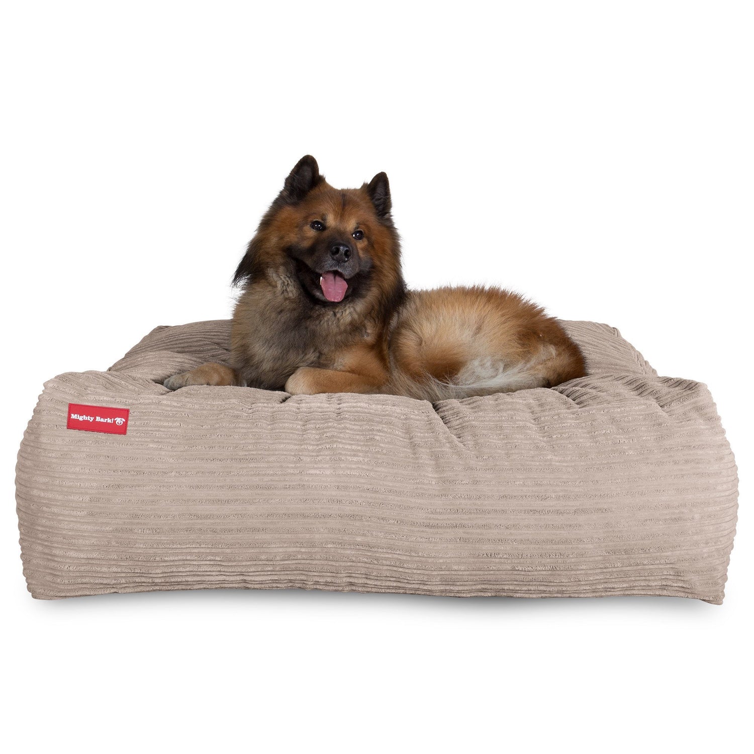 the-crash-pad-memory-foam-dog-bed-cord-mink_1