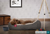the-nest-orthopedic-memory-foam-dog-bed-alpaca-denim-pewter_2