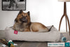 the-nest-orthopedic-memory-foam-dog-bed-denim-pewter_2