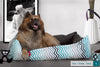 the-nest-orthopedic-memory-foam-dog-bed-geo-print-blue_2