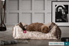 the-nest-orthopedic-memory-foam-dog-bed-glitz-truffle_2
