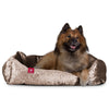 the-nest-orthopedic-memory-foam-dog-bed-glitz-truffle_9
