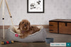 the-nest-orthopedic-memory-foam-dog-bed-interalli-lambswool-grey_2