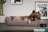 the-nest-orthopedic-memory-foam-dog-bed-pom-pom-charcoal_2