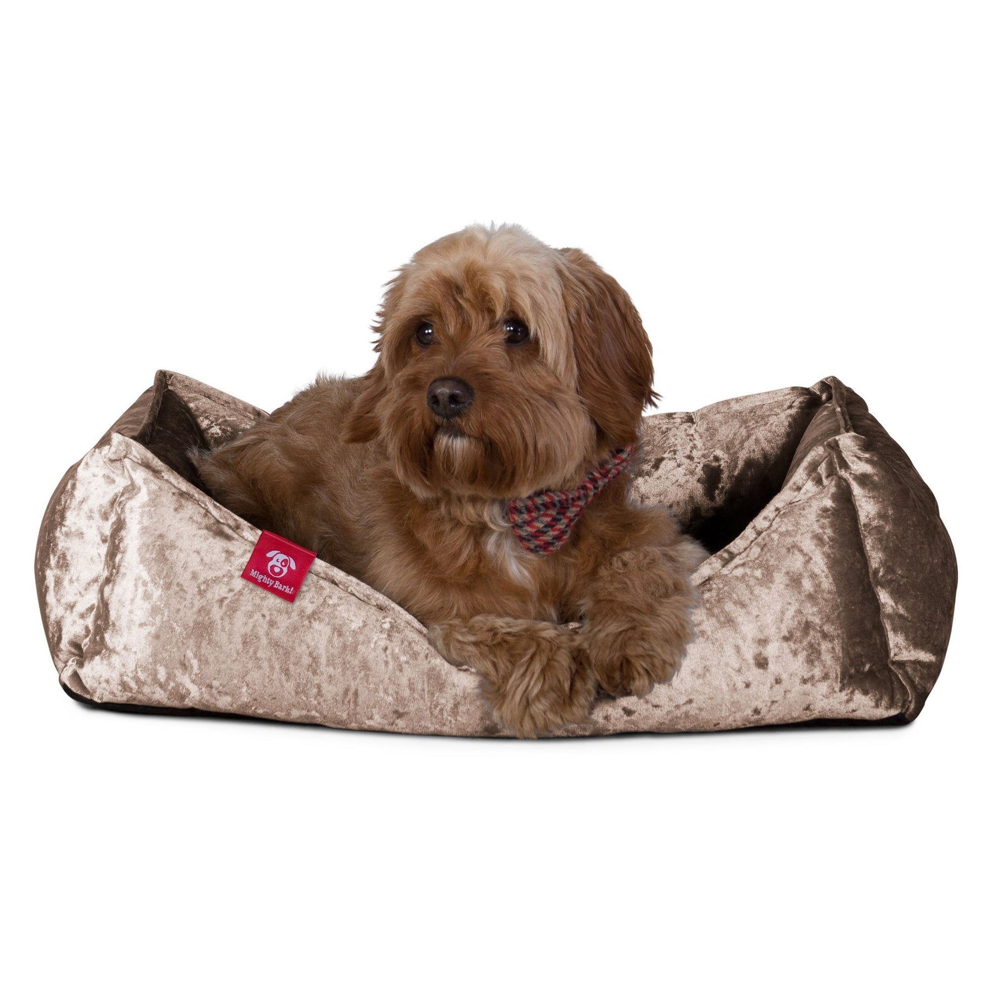 the-nest-orthopedic-memory-foam-dog-bed-glitz-truffle_7