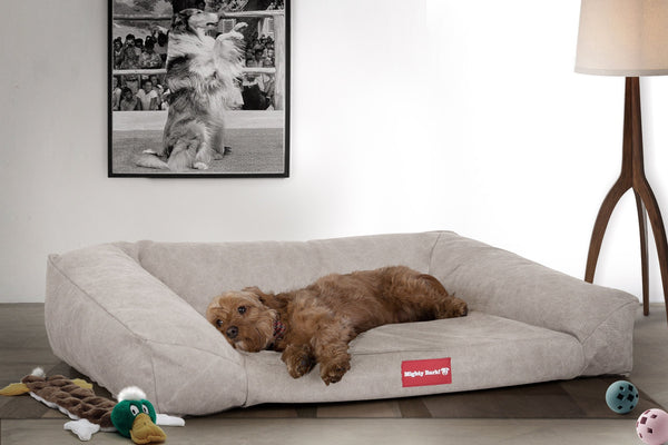 the-sofa-orthopedic-memory-foam-sofa-dog-bed-denim-pewter_2
